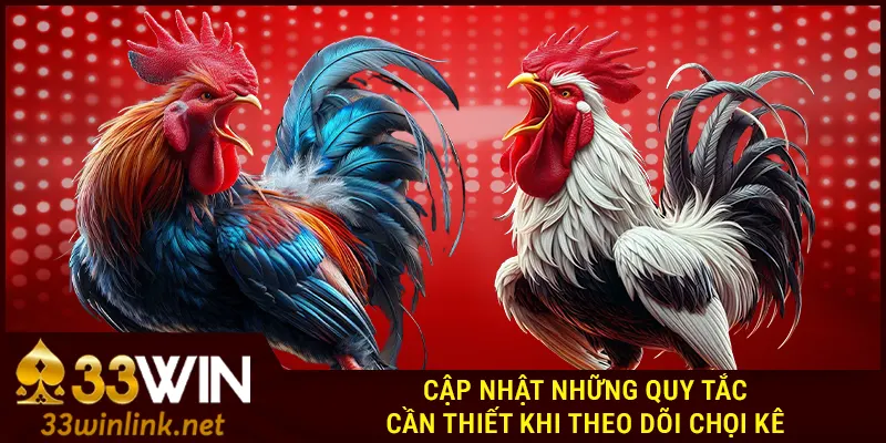 Cập nhật những quy tắc cần thiết khi theo dõi chọi kê