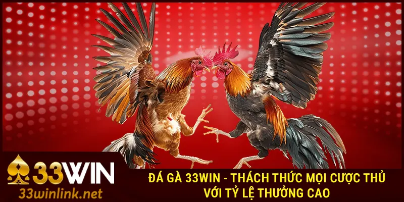 Đá gà 33Win