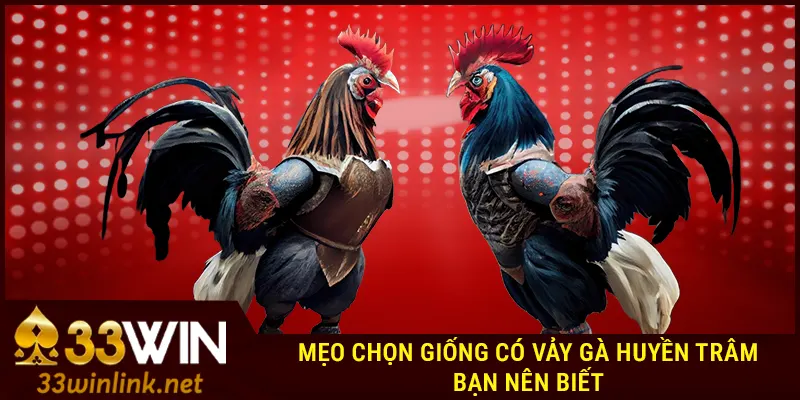 Mẹo chọn giống có vảy gà huyền trâm bạn nên biết